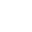 Hybrid Brain